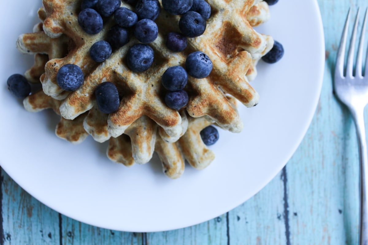 Protein Waffles